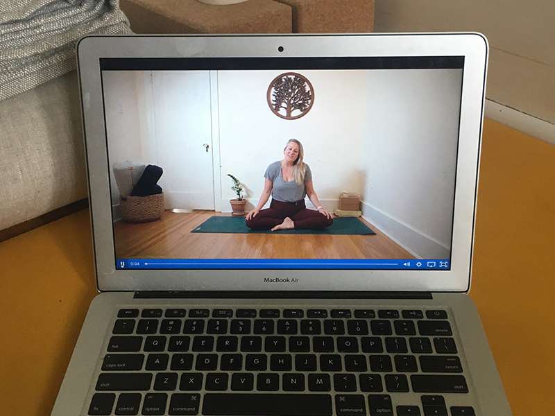 Workshop - Virtual Flow & Yin Yoga | May 12 - June 30