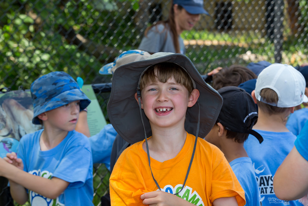 Zoo-Camp-summer-camp-description.jpg (257 KB)